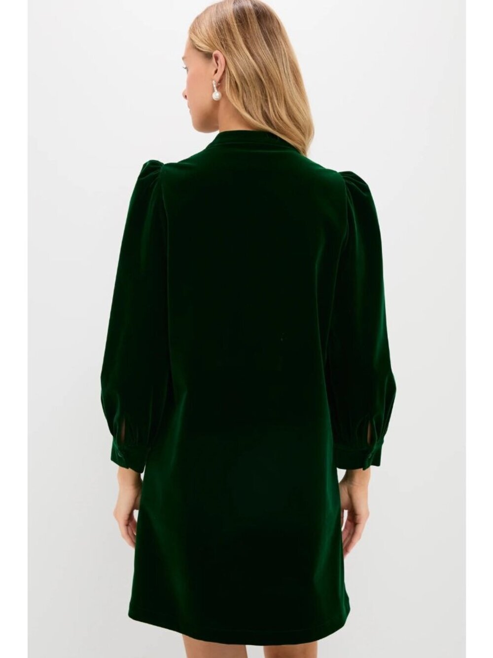 Tuckernuck Pomander Place Hunter Green Velvet Samantha Dress - Picture 3 of 11